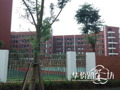 南京市琅琊路小学分校科睿小学,金陵汇文学校初中部!