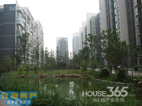 【满五年 仙林最繁华的地区 好房不等人 速来购