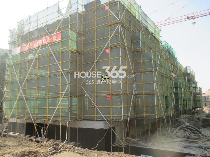 西溪君庐项目9号楼施工进程图（2015.2）