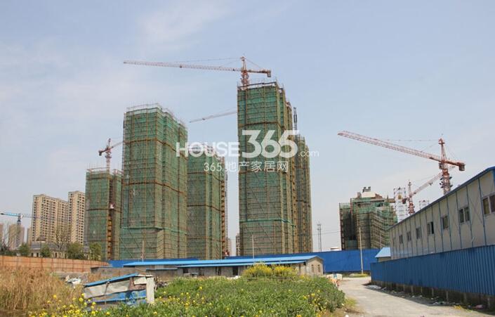 农房尚海湾项目施工实景图 2015年3月摄