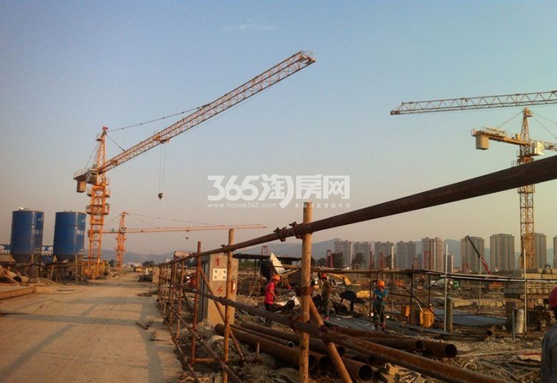 土地合同纠纷