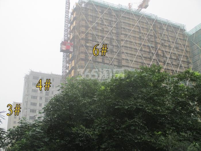 2015年7月东新府项目实景--3、4、6号楼