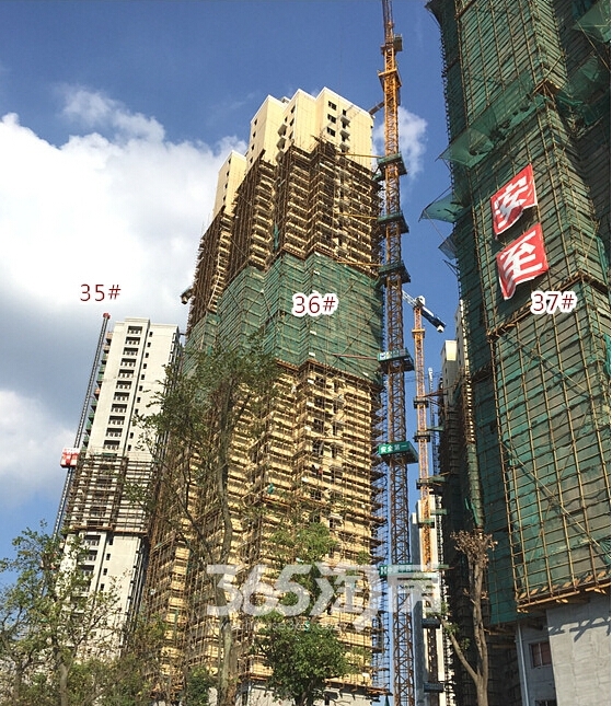 中海国际社区在建楼栋实景图（9.25）