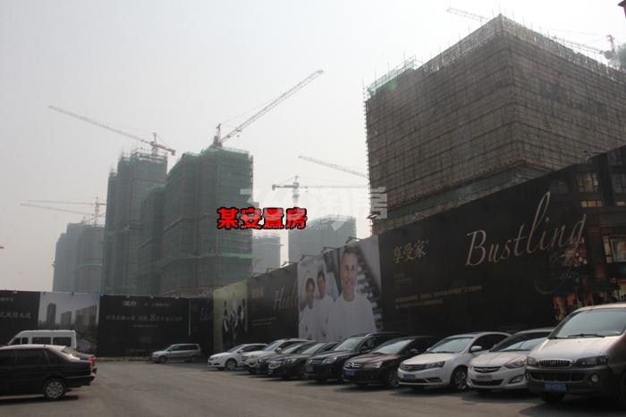 中国铁建江南国际城周边安置房实景图 2015.10摄
