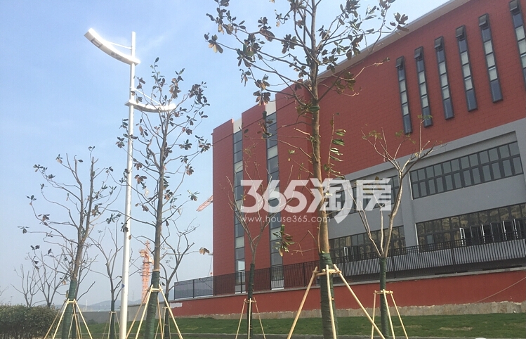 中海国际社区代建学校实景图（11.20）