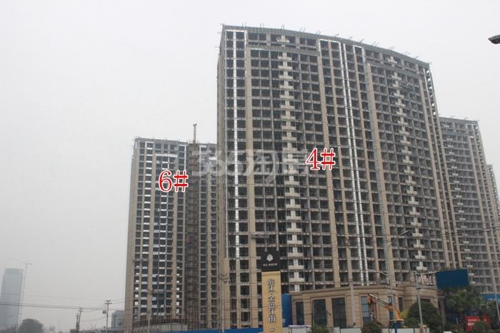 滨江金色江南4、6号楼施工实景图 2015年11月摄