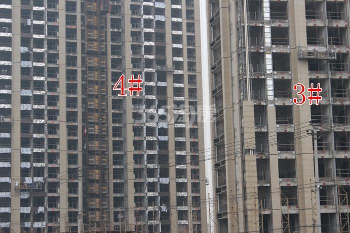 滨江金色江南3、4号楼施工实景图 2015年11月摄
