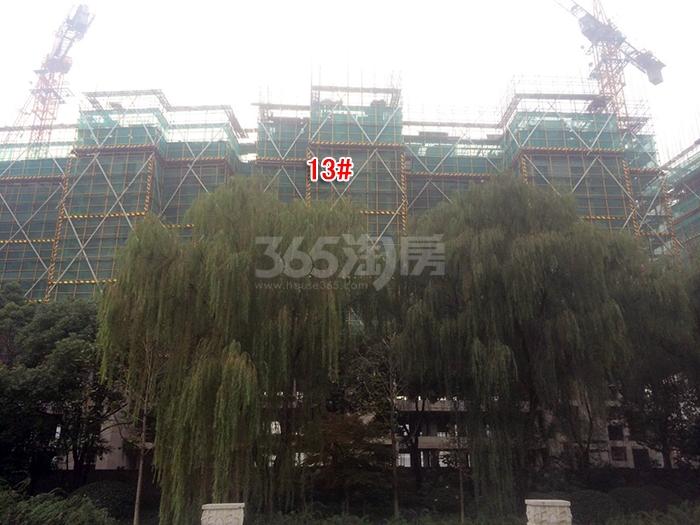 融信杭州公馆13号楼施工进程图（2015.11）