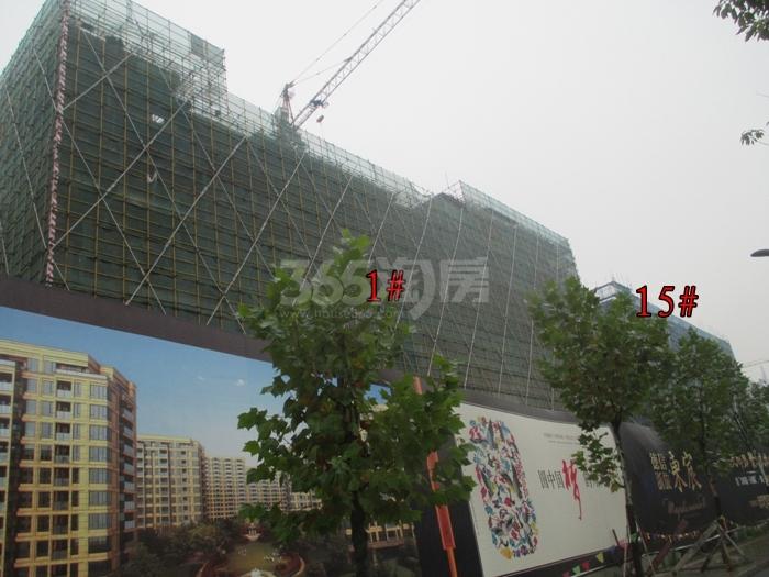 德信浙旅东宸1、15号楼施工进度实景图 2015年12月摄