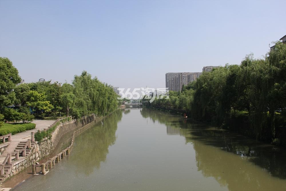 2016年5月大家绿城金麟府项目周边运河实景