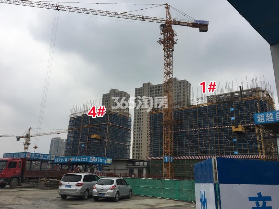 旭辉珺悦府1、4号楼现场施工实景图 2017年3月摄