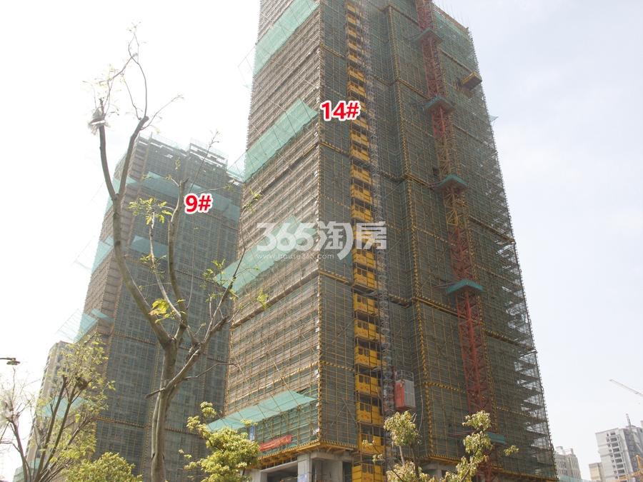 滨江江南之星14、9号楼施工实景图 2017年4月摄