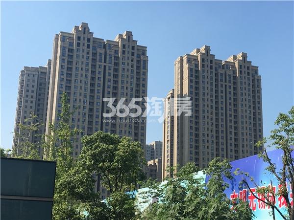 苏宁悦城一期高层住宅实景图（2017.7摄）
