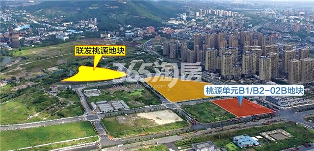 锦上桃源最新动态