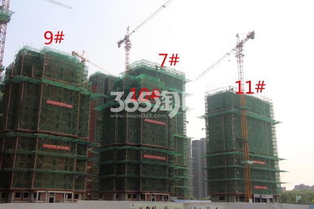  绿地御徽在建7#、9#、10#、11#楼栋工程进度（2017.9.6）