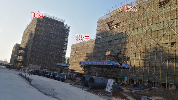 恒泰山水文园工地D2D4D5#楼工程进度实景图（10.10）