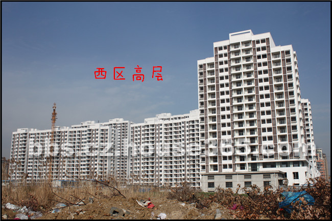 业主论坛 新北区 (b) 滨江明珠城 > 【叮当跑盘记】滨江明珠城:西区